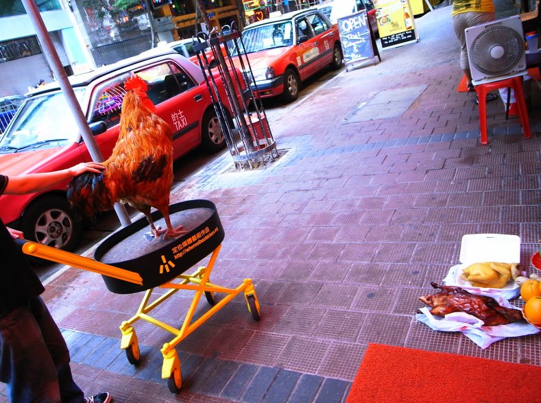 Ontdek het Geheim van Chicken Road: Speel nu online in Nederland, chicken road game