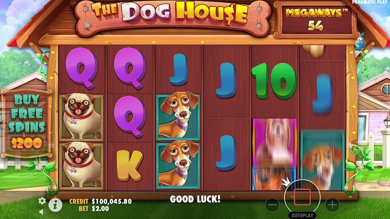 Image: Exploring the Features of The Dog House Megaways